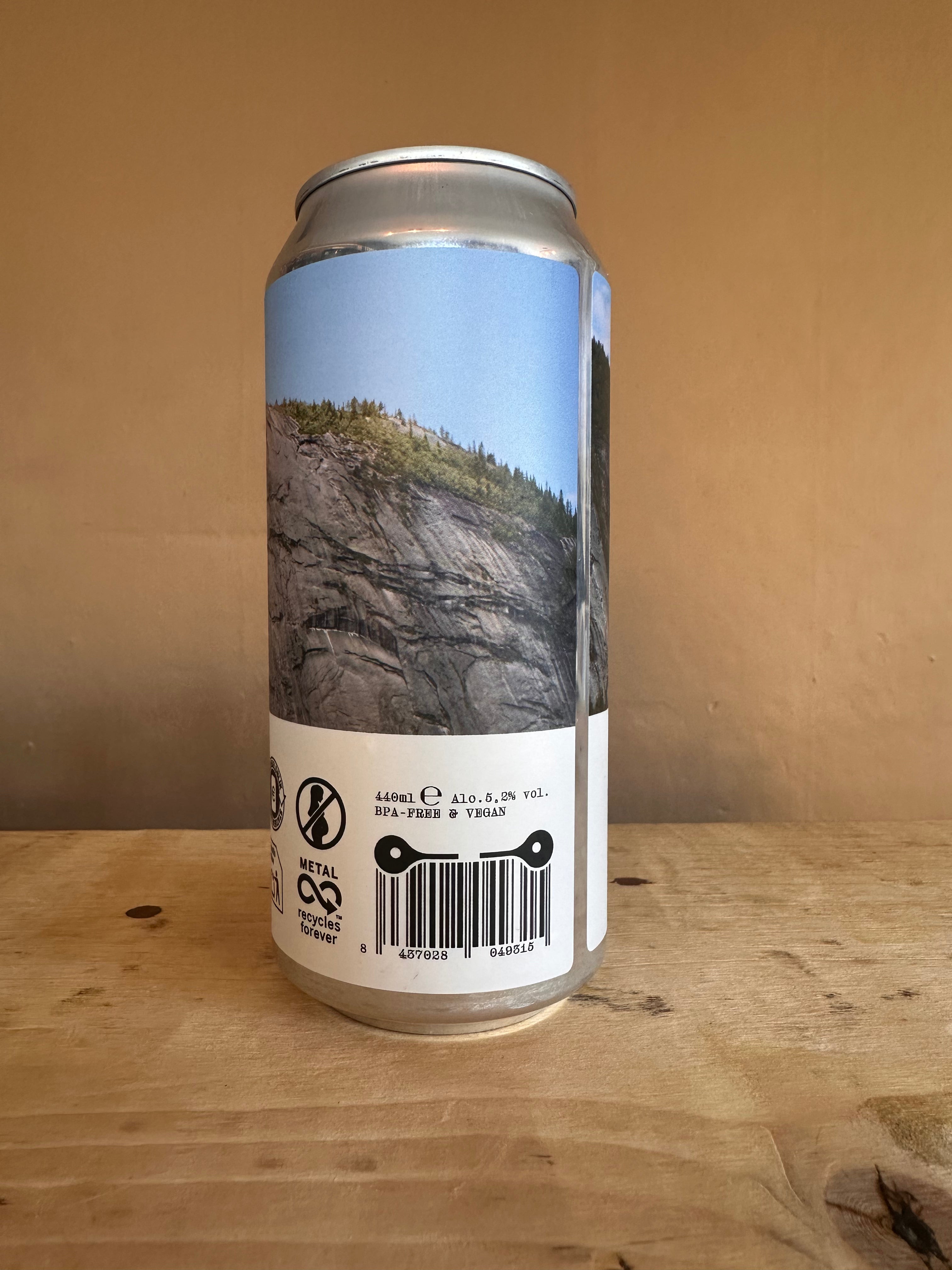 Dos Kiwis Field Day Hazy Pale 5.2%