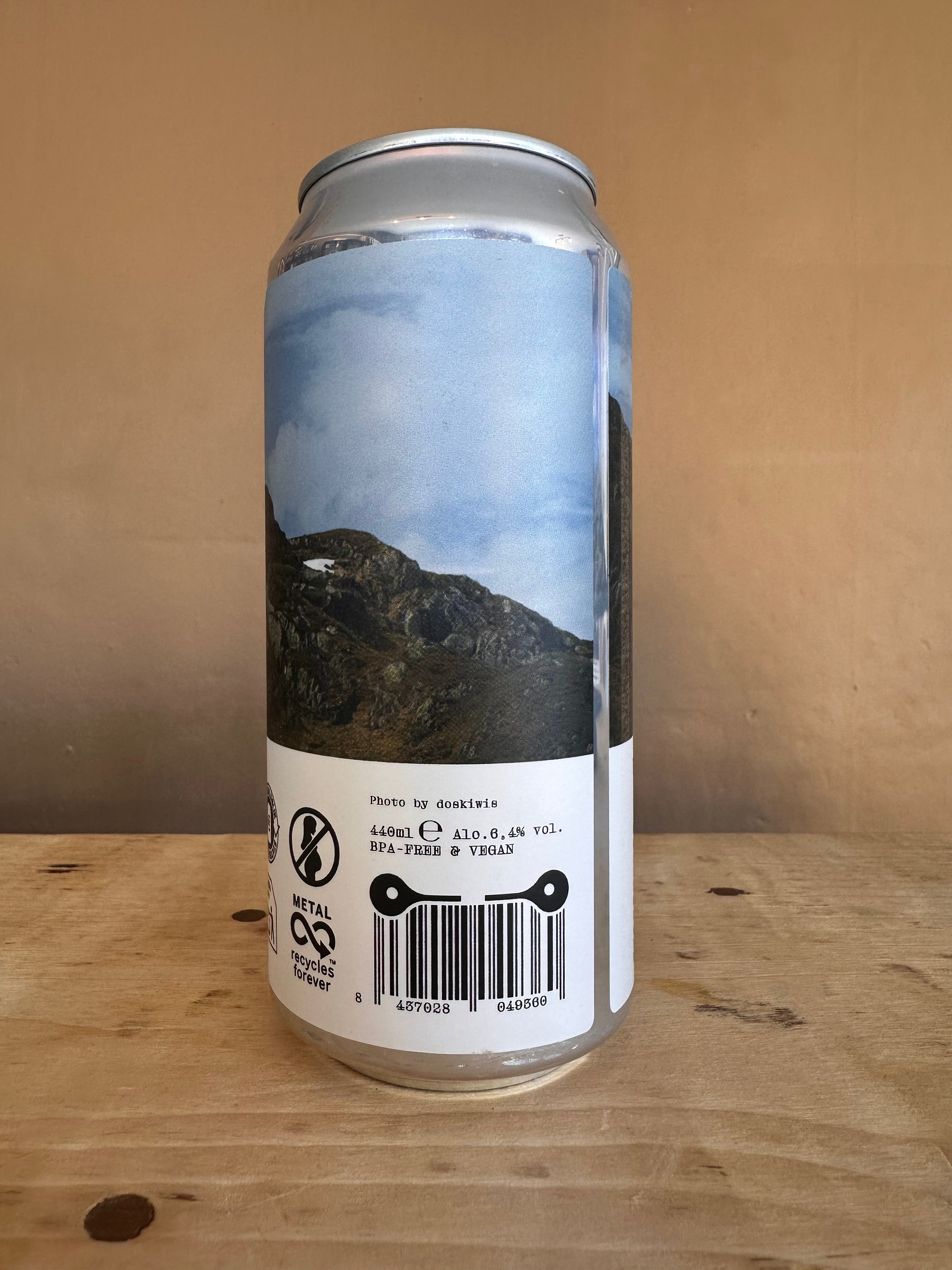 Dos Kiwis Wild Motion Hazy IPA 6.4%